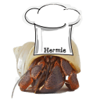 10460632_1590498977829251_4277121806006245277_o