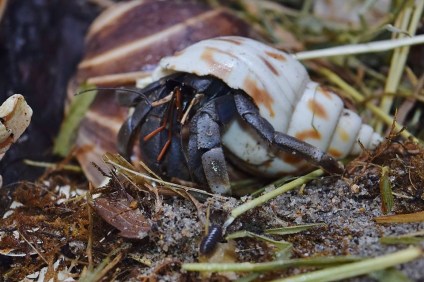 11169962_10155868686510154_2429766652802307839_n