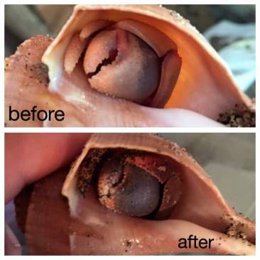 11745469_10103438911151448_1820598624411794900_n