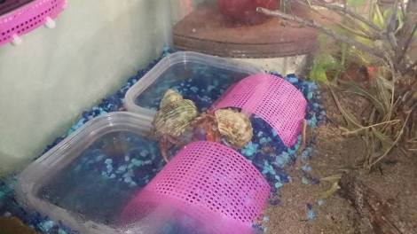 11813260_10204649882550989_1041761930245922803_n