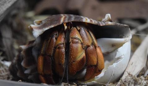 11857647_10155925812440154_1548170504_n