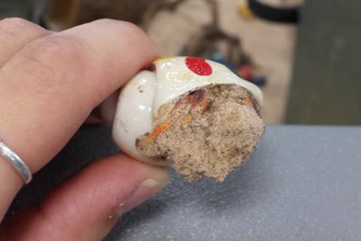 11880445_10207602255363265_8195914500319941548_n