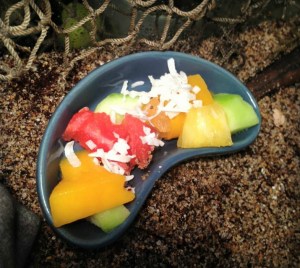 11903821_984500921571906_1289534020139681281_n