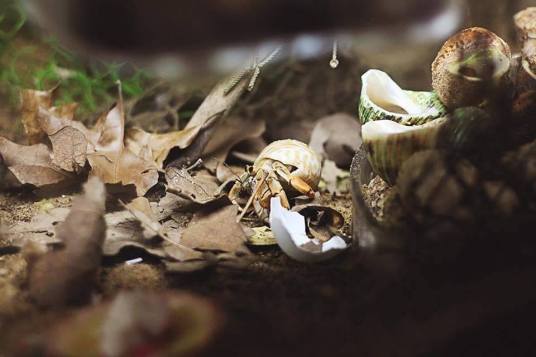 11928697_10103531779327878_1963954031_n