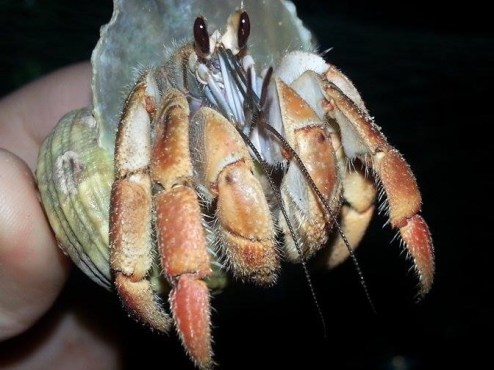 11938164_10103541691518768_1031105794_n