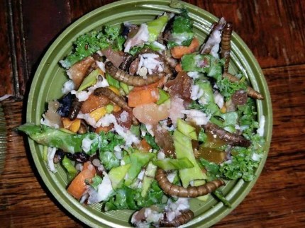 11938865_10103539411343258_1461264921_n