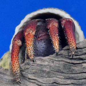 11944555_10156001941485154_351865675_n